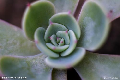 й½ϳƫ ȫůorȫ䣿